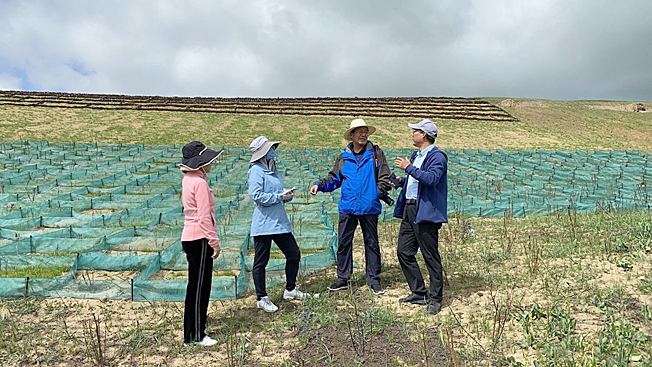 省林科院院长刘世增考察玛曲沙化草地治理研究