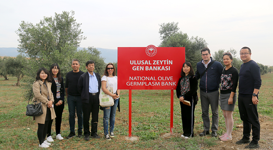 油橄榄项目组赴与土耳其考察学习.JPG